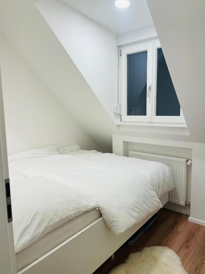 Hd-Appartment Mit Neckar- Und Schlossblick Heidelberg Kültér fotó