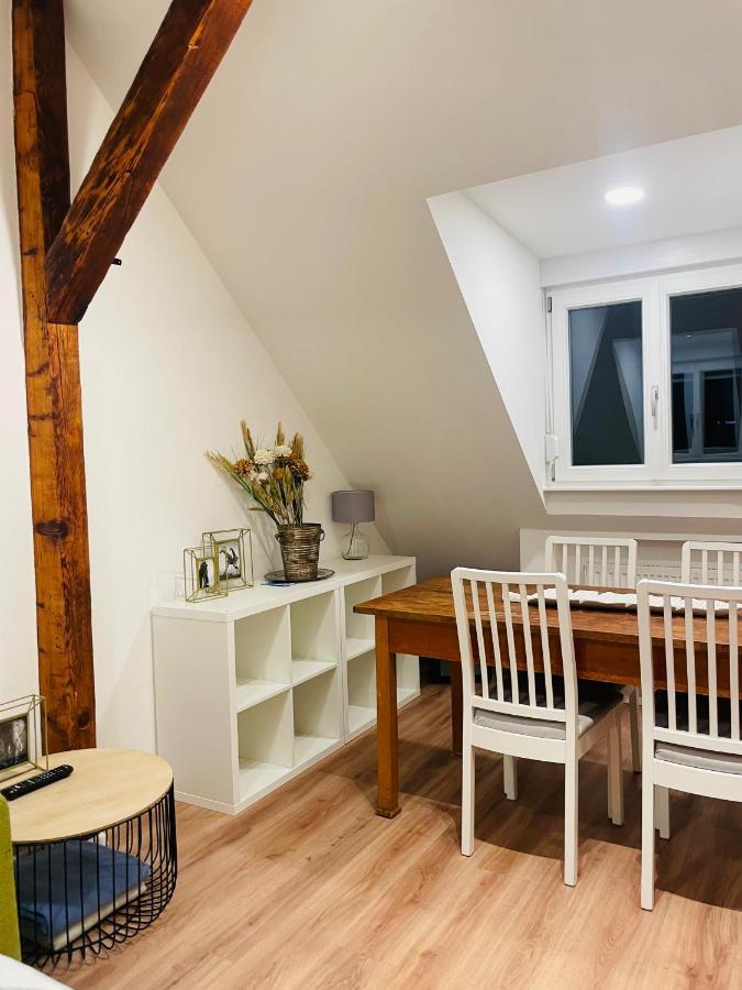 Hd-Appartment Mit Neckar- Und Schlossblick Heidelberg Kültér fotó